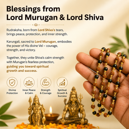 Divya Raksha Rudraksha & Karungali Mala